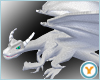 White Shoulder Drake (L)