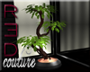 [R] P3RSUASiAN PLANT