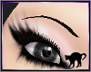 [HK] Brow Ebony