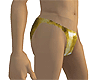 A Gold Metallic Bikini