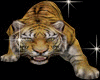 Sumatra Tiger Guard