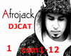 AFROJACK CANT STOP ME 