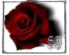 sb random acts