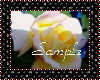 Emerging Rose Sticker