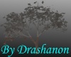 Shadow Tree 7