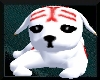 *A* Puppy.