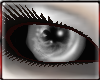 [A] Tempt Eyes Silver