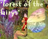 fairys wood