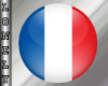 French Flag