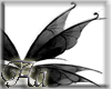 [Aa] BlackWings