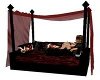 Twilight Couch