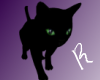 !R Black Kitten Cuddle