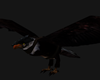 Dark Warrior Eagle