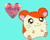 cute hamster