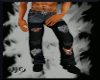 JjG Harley Chaps