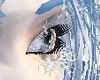 L~snowlashes