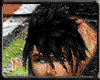 [N] Nero Tribal Bundle