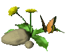 Butterfly on Flower