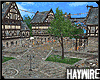 :Village-Summer Market