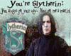 All hail Slytherin