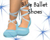 [L] Clara Ballet Shoes