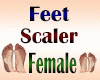 Feet Scaler Female