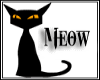 black cat blink