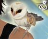 !S! Cute Barn Owl