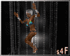 Product Image for :s4f C wall dance cage