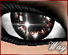 Dream-Eyes Gray/Brown