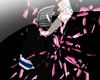 Shoton chidori [M/F]