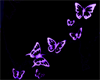 Purple ButterFly Bundle