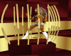 soild gold dance cage
