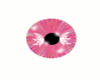 Pink Butterfly Eye