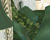Elegant Bed Green