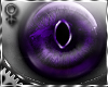 *E IIPulseII Purple (F)*