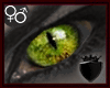 Cat Eye UniSeX
