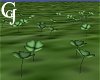 4-Leaf Clover Patch