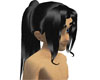Black Ponytail
