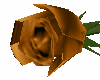 Autumn's Brown Rose