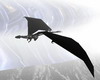 flying snow dragon