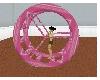 TIKI'S WHEEL POOL TOY1
