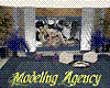 Modeling Agency