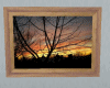 Willow's Sunrise