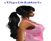 Long Ponytail/Black Hair