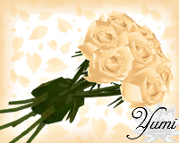 Rose Bundle - Champagne