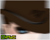 |Desc| Cowgirl Hair+Hat