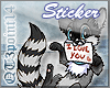 {C} ILY Raccoon
