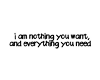 {*SK*} Nothing You Need