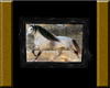 Babieca Frame